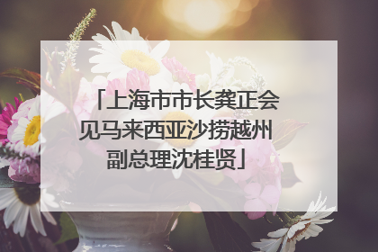 上海市市长龚正会见马来西亚沙捞越州副总理沈桂贤