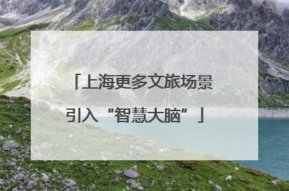 上海更多文旅场景引入“智慧大脑”