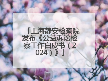 上海静安检察院发布《公益诉讼检察工作白皮书（2024）》