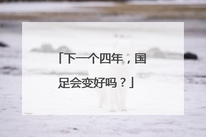 下一个四年，国足会变好吗？