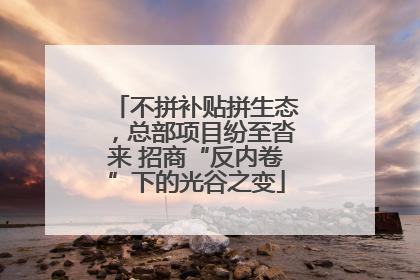 不拼补贴拼生态，总部项目纷至沓来 招商“反内卷”下的光谷之变