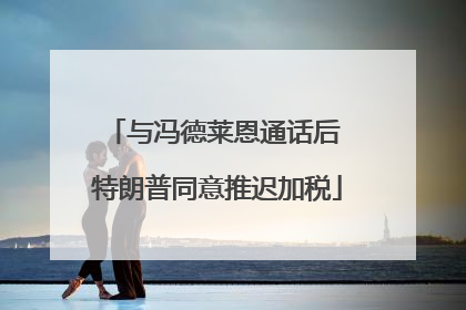 与冯德莱恩通话后 特朗普同意推迟加税