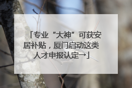 专业“大神”可获安居补贴，厦门启动这类人才申报认定→