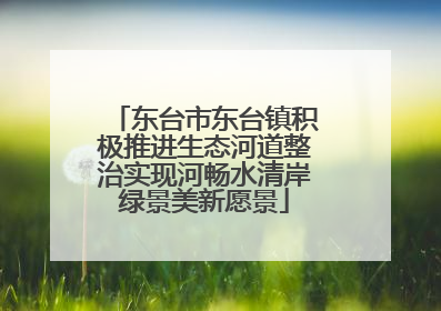 东台市东台镇积极推进生态河道整治实现河畅水清岸绿景美新愿景