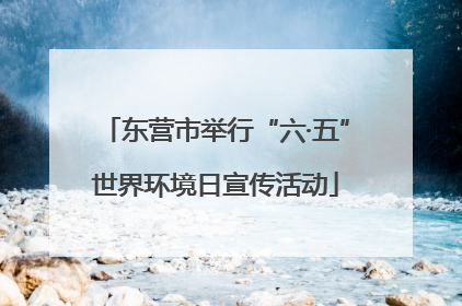 东营市举行“六·五”世界环境日宣传活动