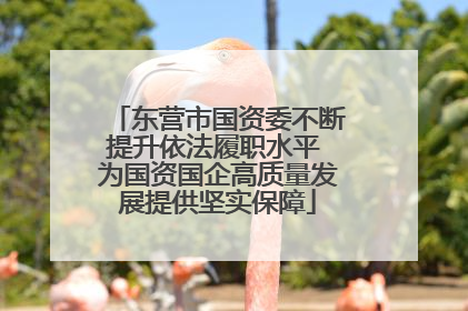 东营市国资委不断提升依法履职水平 为国资国企高质量发展提供坚实保障