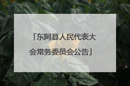 东阿县人民代表大会常务委员会公告
