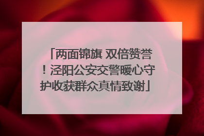 两面锦旗 双倍赞誉！泾阳公安交警暖心守护收获群众真情致谢
