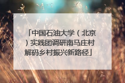 中国石油大学（北京）实践团调研南马庄村解码乡村振兴新路径