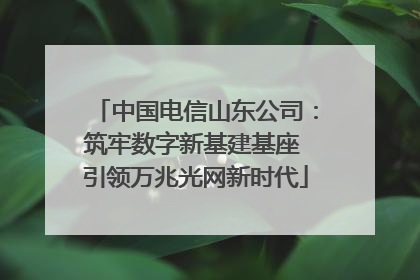 中国电信山东公司：筑牢数字新基建基座 引领万兆光网新时代