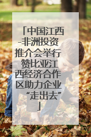 中国江西-非洲投资推介会举行 赞比亚江西经济合作区助力企业“走出去”