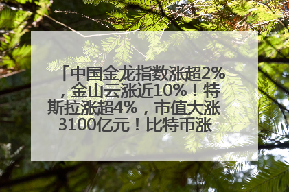 中国金龙指数涨超2%，金山云涨近10%！特斯拉涨超4%，市值大涨3100亿元！比特币涨回11万美元关口