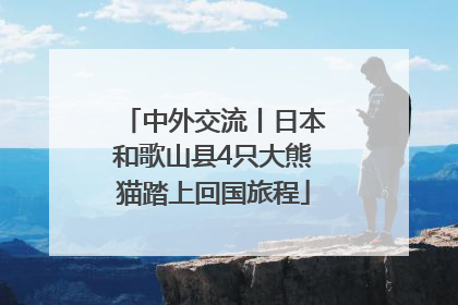 中外交流丨日本和歌山县4只大熊猫踏上回国旅程