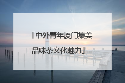 中外青年厦门集美品味茶文化魅力