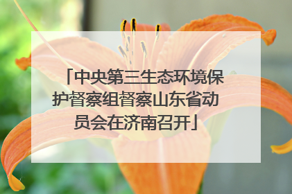 中央第三生态环境保护督察组督察山东省动员会在济南召开