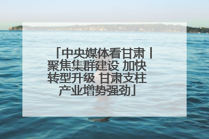 中央媒体看甘肃丨聚焦集群建设 加快转型升级 甘肃支柱产业增势强劲