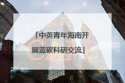 中英青年海南开展蓝碳科研交流