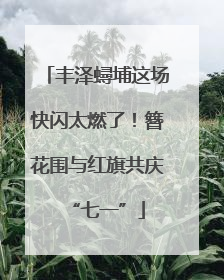 丰泽蟳埔这场快闪太燃了！簪花围与红旗共庆“七一”