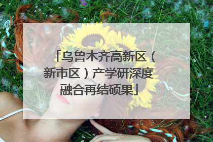 乌鲁木齐高新区（新市区）产学研深度融合再结硕果