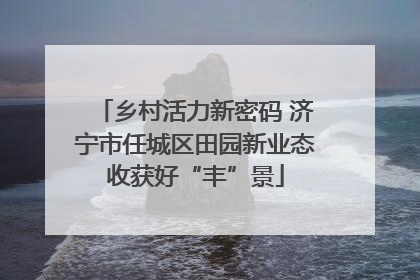乡村活力新密码 济宁市任城区田园新业态收获好“丰”景