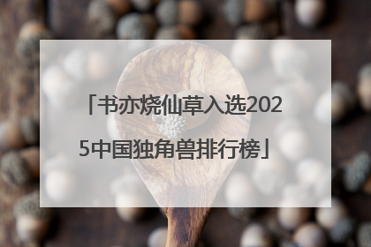 书亦烧仙草入选2025中国独角兽排行榜