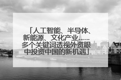 人工智能、半导体、新能源、文化产业……多个关键词透视外资眼中投资中国的新机遇