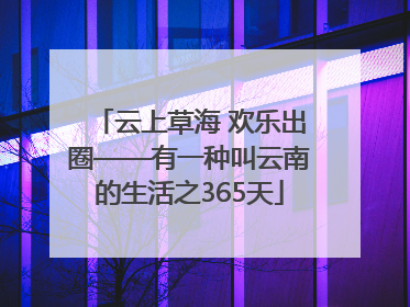 云上草海 欢乐出圈——有一种叫云南的生活之365天