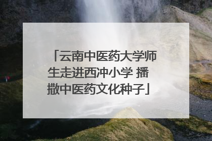 云南中医药大学师生走进西冲小学 播撒中医药文化种子