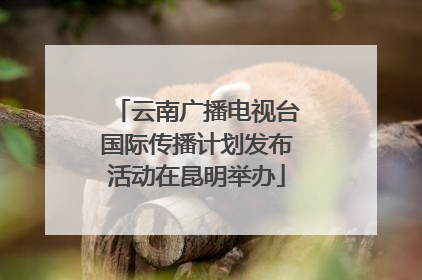 云南广播电视台国际传播计划发布活动在昆明举办