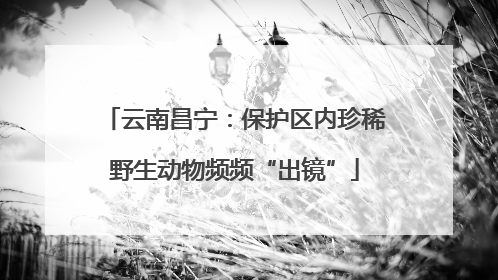 云南昌宁：保护区内珍稀野生动物频频“出镜”