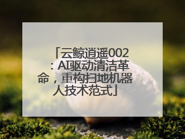 云鲸逍遥002：AI驱动清洁革命，重构扫地机器人技术范式