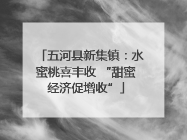 五河县新集镇：水蜜桃喜丰收 “甜蜜经济促增收”