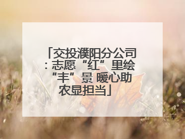 交投濮阳分公司：志愿“红”里绘“丰”景 暖心助农显担当