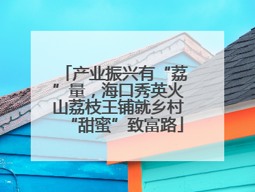 产业振兴有“荔”量，海口秀英火山荔枝王铺就乡村“甜蜜”致富路