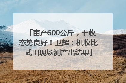 亩产600公斤，丰收态势良好！卫辉：机收比武田现场测产出结果