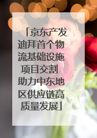 京东产发迪拜首个物流基础设施项目交割 助力中东地区供应链高质量发展