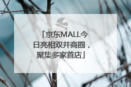 京东MALL今日亮相双井商圈，聚集多家首店
