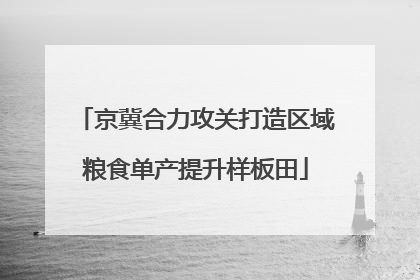 京冀合力攻关打造区域粮食单产提升样板田