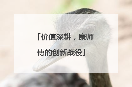 价值深耕，康师傅的创新战役