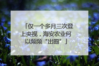 仅一个多月三次登上央视，海安农业何以频频“出圈”