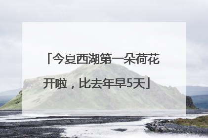 今夏西湖第一朵荷花开啦，比去年早5天