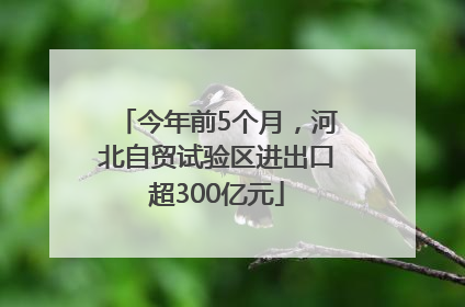 今年前5个月，河北自贸试验区进出口超300亿元