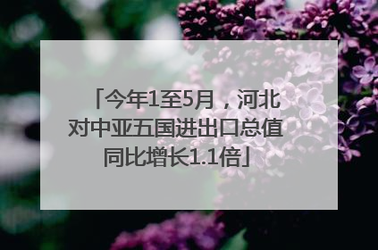 今年1至5月，河北对中亚五国进出口总值同比增长1.1倍