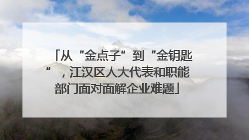 从“金点子”到“金钥匙”，江汉区人大代表和职能部门面对面解企业难题