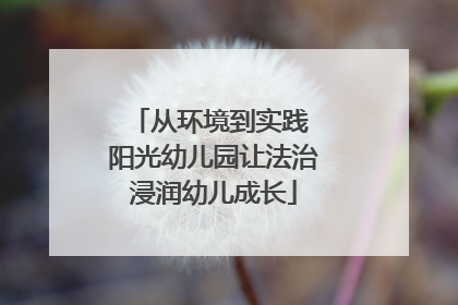 从环境到实践 阳光幼儿园让法治浸润幼儿成长