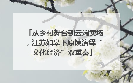 从乡村舞台到云端卖场，江苏如皋下原镇演绎“文化经济”双重奏