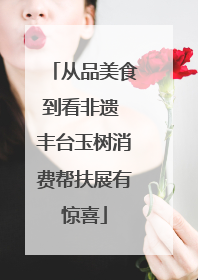 从品美食到看非遗 丰台玉树消费帮扶展有惊喜