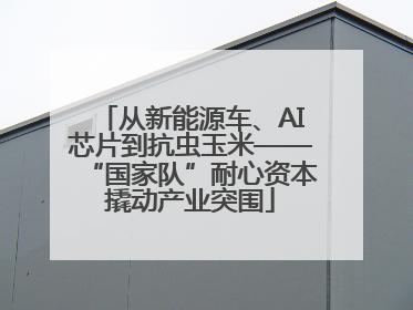 从新能源车、AI芯片到抗虫玉米——“国家队”耐心资本撬动产业突围