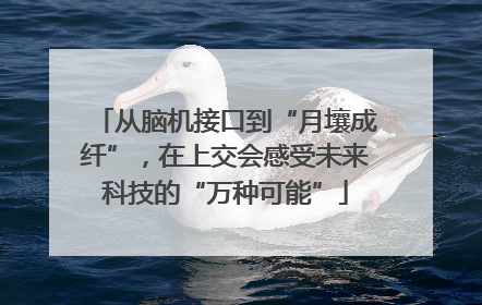 从脑机接口到“月壤成纤”，在上交会感受未来科技的“万种可能”