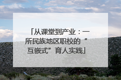 从课堂到产业：一所民族地区职校的“互嵌式”育人实践